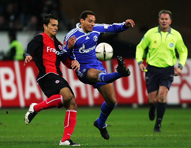 劳塔罗共有 劳塔罗共有