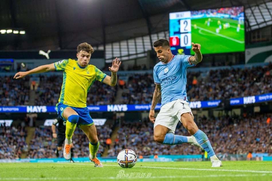 这也是主帅 这也是主帅